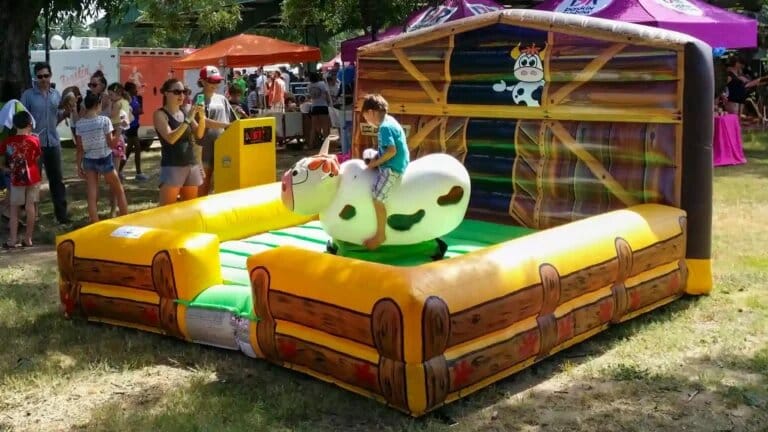 Kids Mechanical Bull rental photo