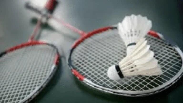 Badminton Set