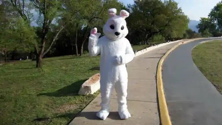 Bunny Entertainer rental at an event