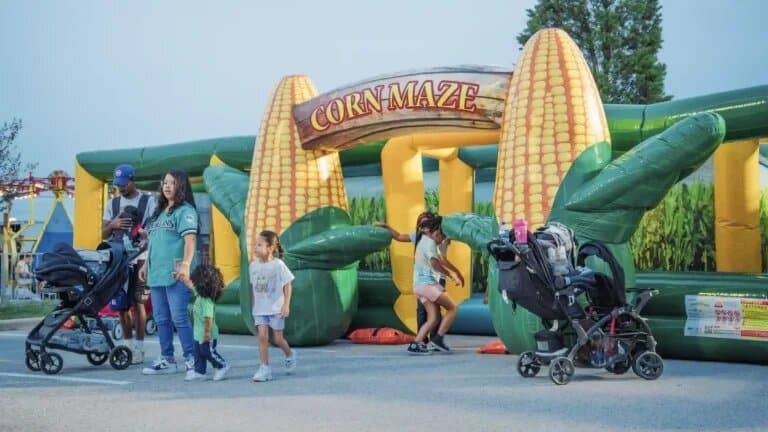 Corn Maze rental photo