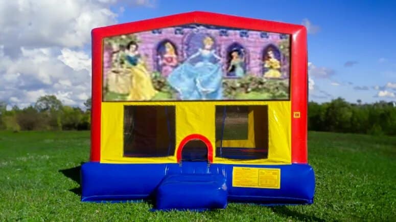 Disney Princess Moonwalk rental at an event