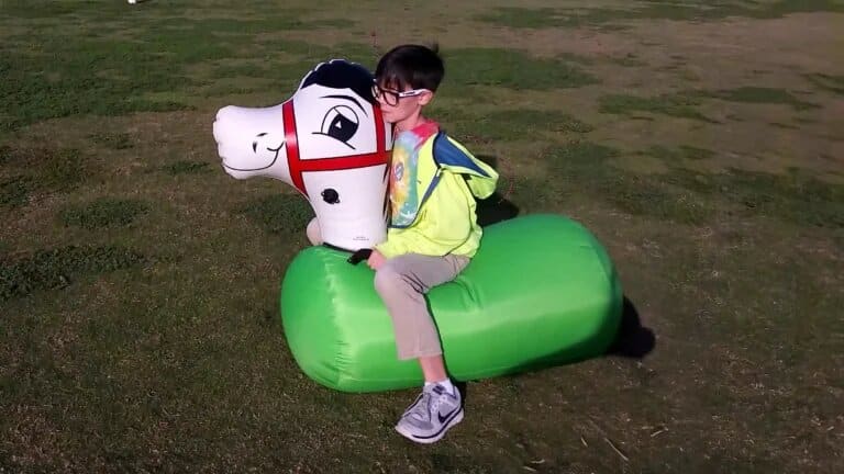 Lage Inflatable Horses rental photo