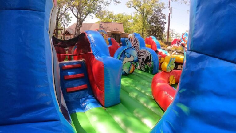 Animal Kingdom Toddler Combo rental photo