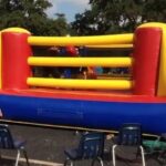 Bouncing Boxing rental thumbnail 1