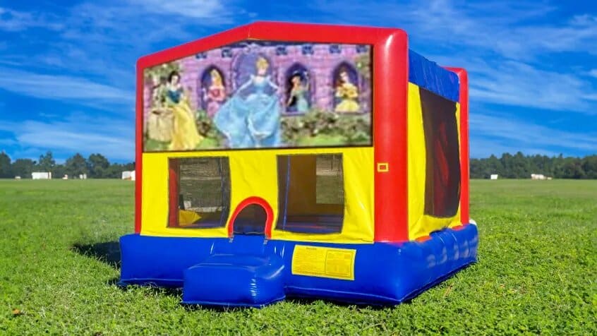 Disney Princess Moonwalk rental photo