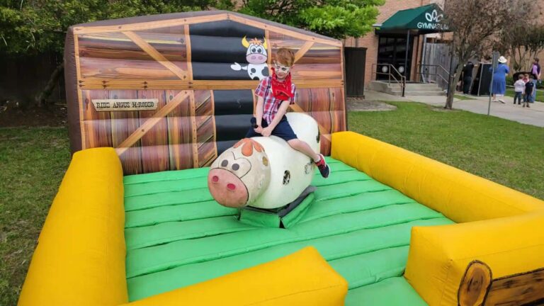 Kids Mechanical Bull rental photo