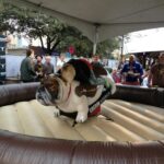 Mechanical Bull Rental and Branding thumbnail 3