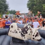 Mechanical Bull – PREMIUM BULL rental thumbnail 3