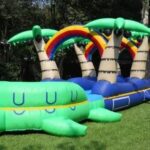 Turtle Dual Lane Slip and Slide (36’L X 12’W X 9’H) rental thumbnail 1
