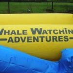 Whally the Whale Water Slide (45’L X 18’W X 25’H) rental thumbnail 1